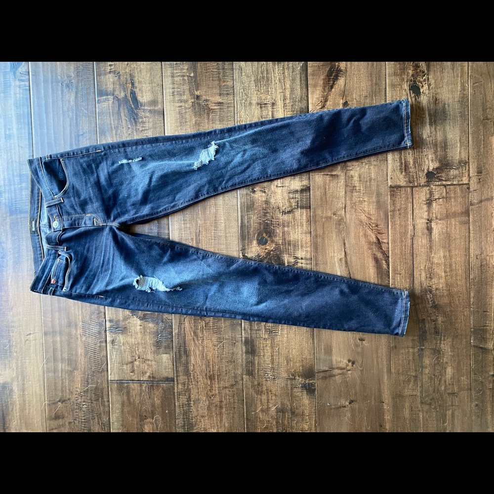 NWOT Hudson Krista Pant.  Womens size 28